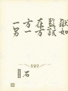 一方在监狱服刑另一方该如何离婚