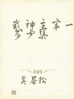 武神主宰一共有多少集