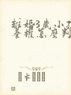 离婚3岁小孩抚养权怎么判定