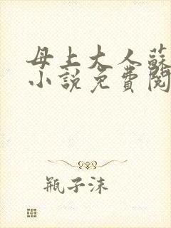 母上大人苏文婧小说免费阅读全文