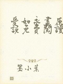 爱如永昼原著小说免费阅读