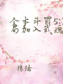 全本斗罗5:开局加入武魂殿