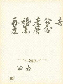 再婚老公去世遗产怎么分