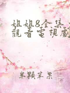 姐姐8全集免费观看电视剧第3集