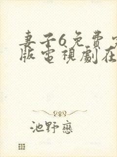 妻子6免费完整版电视剧在线看