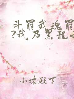 斗罗武魂罗三炮?我乃黑龙帝君