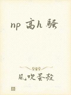 np 高h 骚