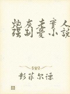 炮灰老实人总被强制爱小说