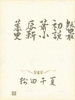 叶辰萧初然最快更新小说最新