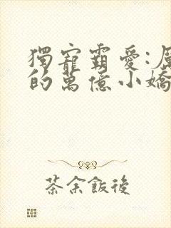 独宠霸爱:厉少的万亿小娇妻