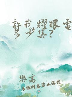 许我耀眼电视剧多少集?