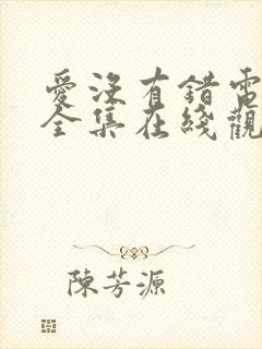 爱没有错电视剧全集在线观看免费