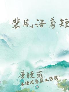 裴风洛鸢短剧
