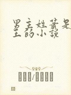 男主姓萧是摄政王的小说