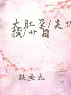 大肚孕/夫们的挨/艹日