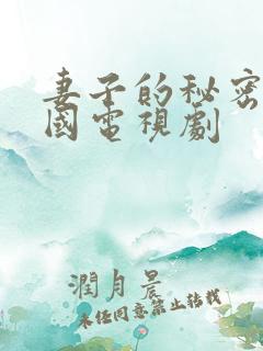 妻子的秘密+韩国电视剧