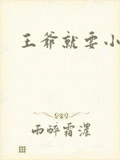 王爷就要小呆妃