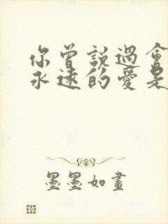 你曾说过会给我永远的爱是什么歌