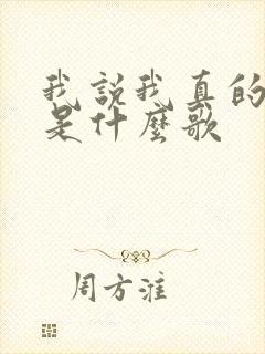 我说我真的爱你是什么歌