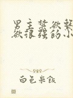 男主禁欲系占有欲很强的小说