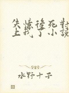 失忆后死对头黏上我了小说