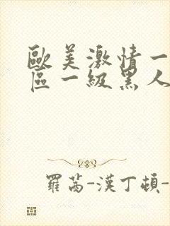 欧美激情一区二区一级黑人片