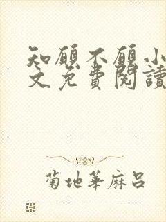 知愿不愿小说全文免费阅读