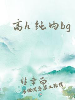 高h 纯肉bg