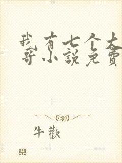 我有七个大佬哥哥小说免费观看