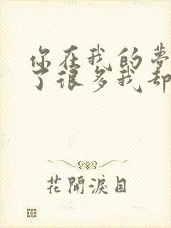 你在我的梦里说了很多我却记不清是什么歌