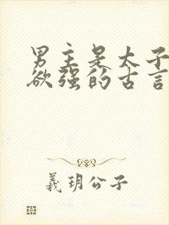 男主是太子占有欲强的古言