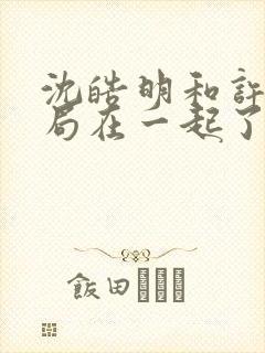 沈皓明和许妍结局在一起了吗