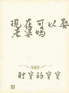 现在可以娶两个老婆吗