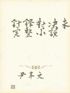 针锋对决未删减完整小说