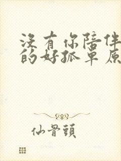 没有你陪伴我真的好孤单原唱