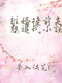 离婚后前夫总是想追我小说在线阅读