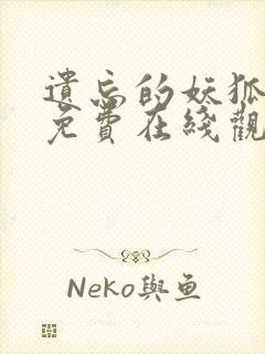 遗忘的妖狐动漫免费在线观看