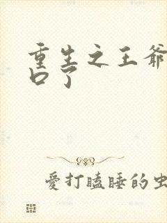 重生之王爷太重口了