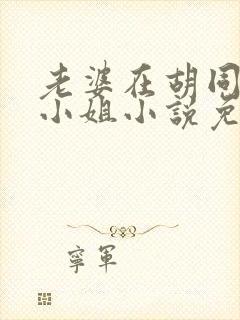 老婆在胡同里扮小姐小说免费阅读