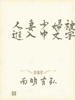 人妻少妇被猛烈进入中文字幕