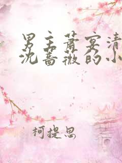 男主萧宴清女主沈蔷薇的小说