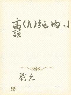 高(h)纯肉小说