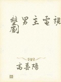 双男主电视剧韩剧