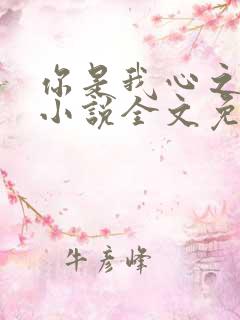 你是我心之所向小说全文免费阅读