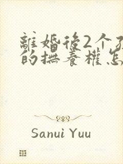 离婚后2个孩子的抚养权怎么判定呢