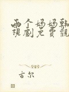 两个妈妈韩剧电视剧免费观看播放