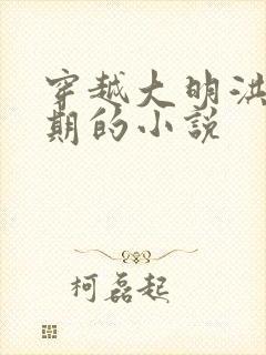 穿越大明洪武时期的小说