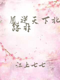 凤逆天下北月篇 路非