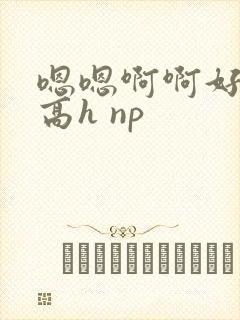 嗯嗯啊啊好爽 高h np