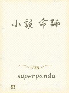 小说 命师